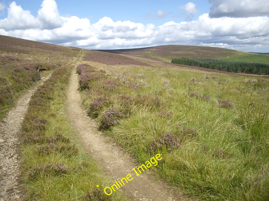 Photo 6x4 Track up Gallows Hill Migvie Towards Rippachie. c2010