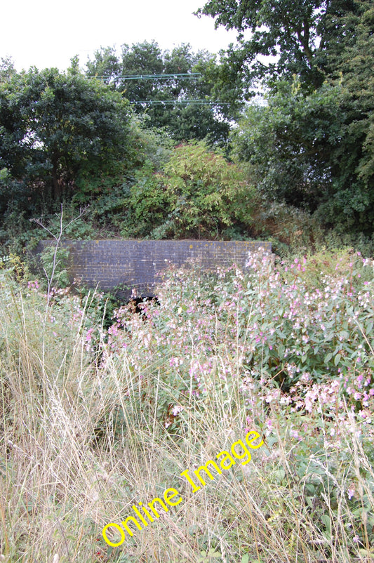 Photo 12x8 Railway culvert Shotgate Stream choked with Himalayan Balsam (I c2010