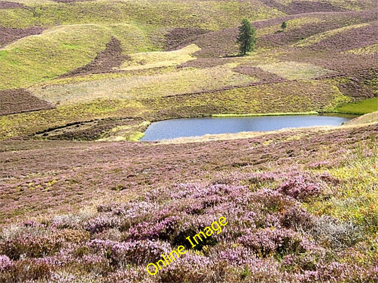 Photo 6x4 A Lazy Well lochan Migvie Below the track to Lazy Well. c2010