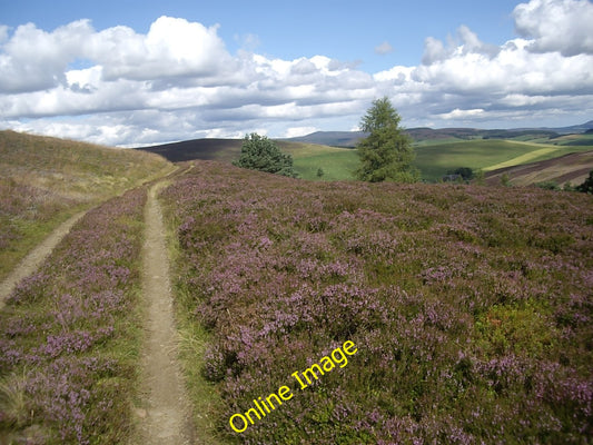 Photo 6x4 Track from Lazy Well Migvie Towards Gallows Hill. c2010