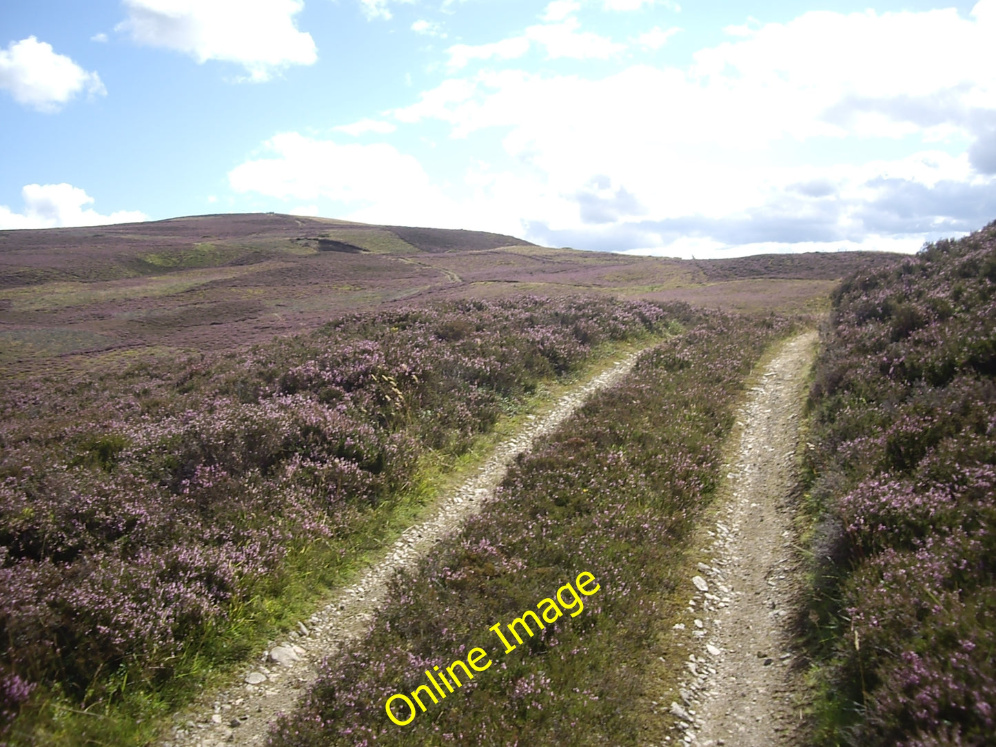 Photo 6x4 Track towards Lazy Well Migvie  c2010