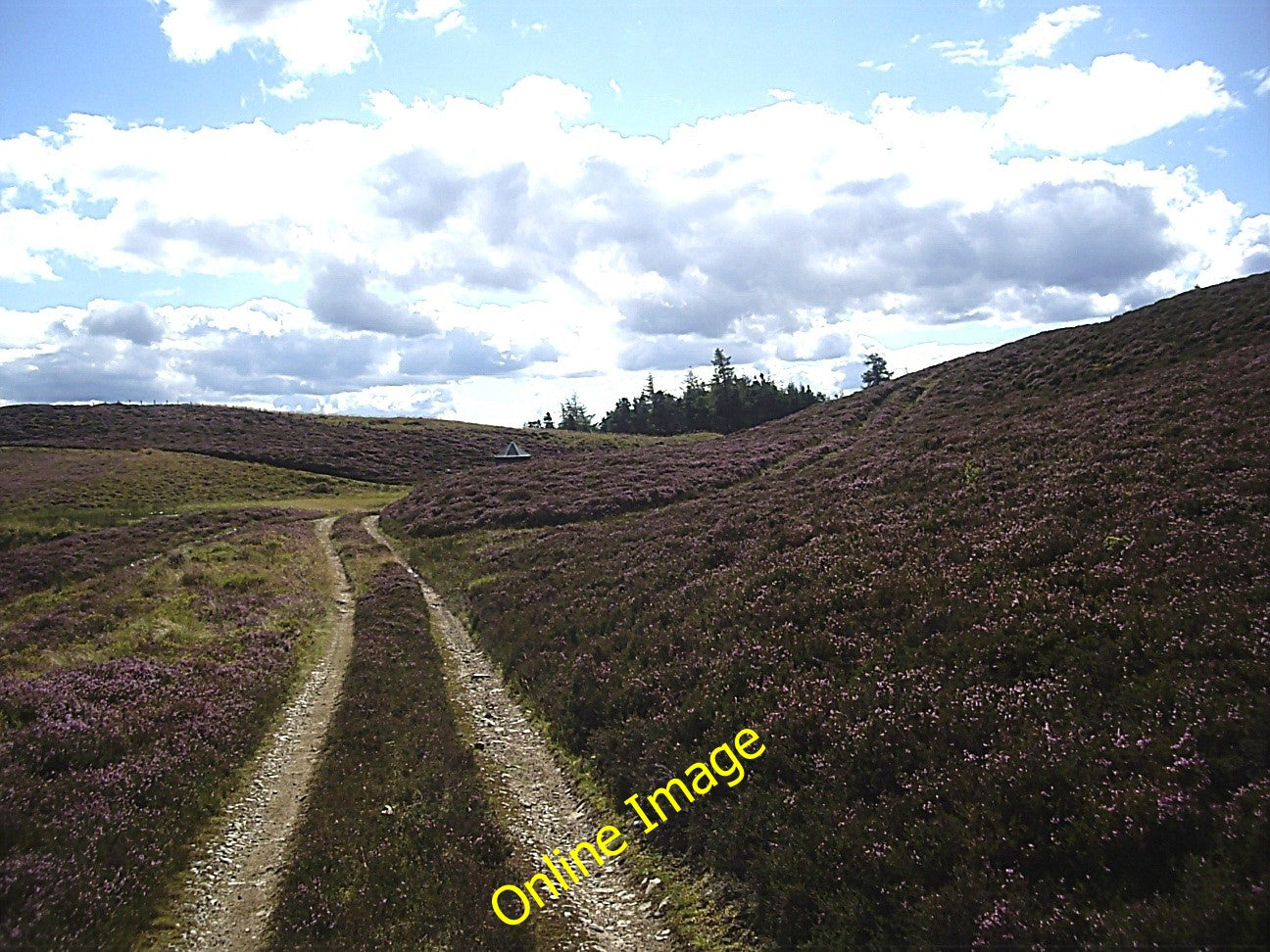 Photo 6x4 Approach to Lazy Well bothy Migvie Along the moorland track. c2010