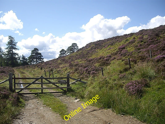 Photo 6x4 Gated egress from the moor at Lazy Well Migvie To Reinacharn. c2010