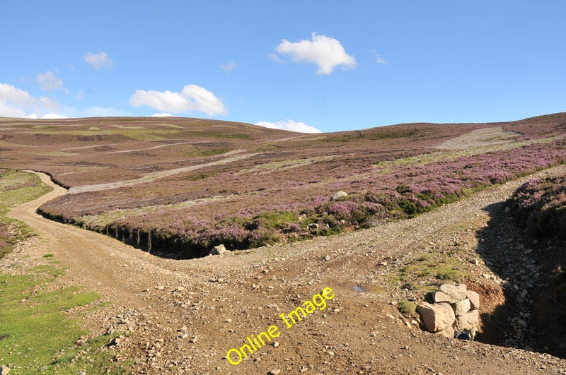 Photo 6x4 Hill track junction on the slopes of The Craig Corgarff  c2010