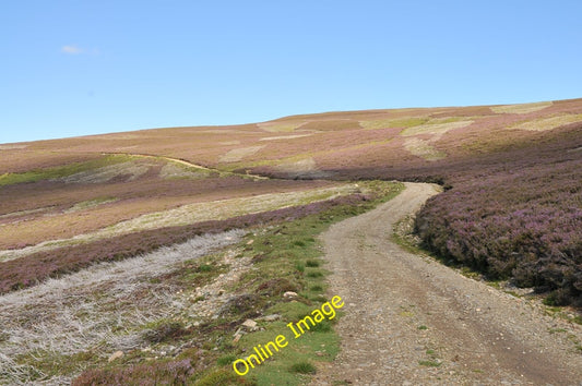 Photo 6x4 Hill track on the slopes of Cairnlea Hill Corgarff  c2010