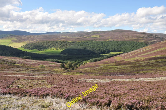 Photo 6x4 Looking down the route of the Corrie Burn Corgarff  c2010