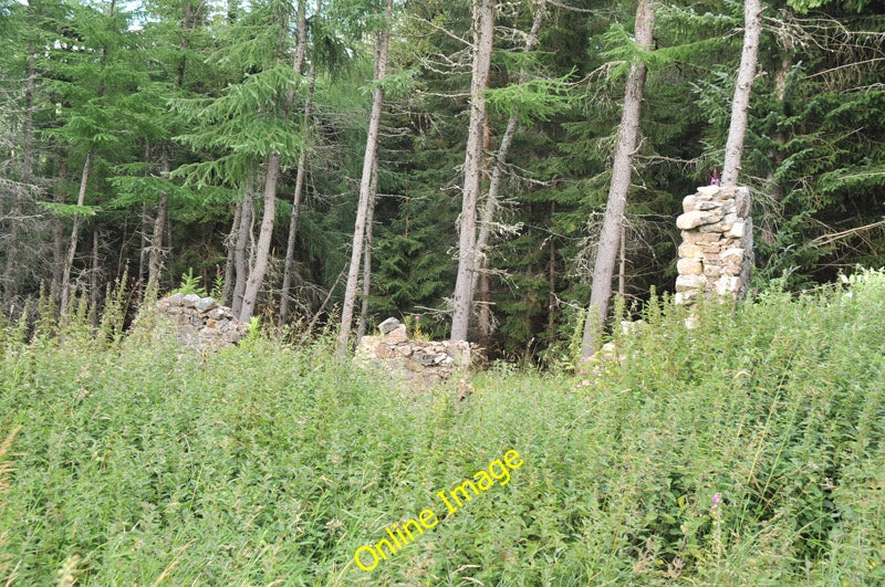 Photo 6x4 Ruined building near Culfork Roughpark  c2010