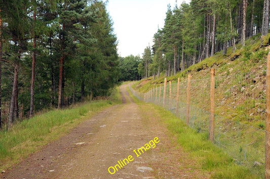 Photo 6x4 Forest road near Lonach Roughpark  c2010