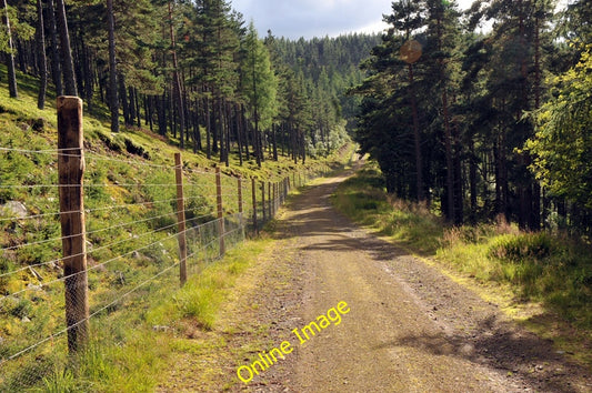 Photo 6x4 Forest road near Lonach Roughpark  c2010