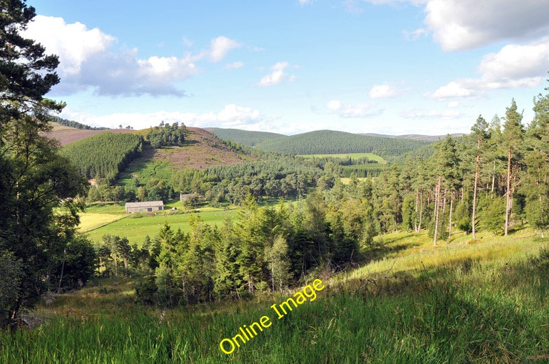 Photo 6x4 View through the forest to Lonach Roughpark  c2010