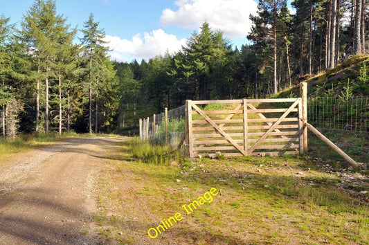 Photo 6x4 Junction of the tracks in the forest near Lonach Roughpark  c2010