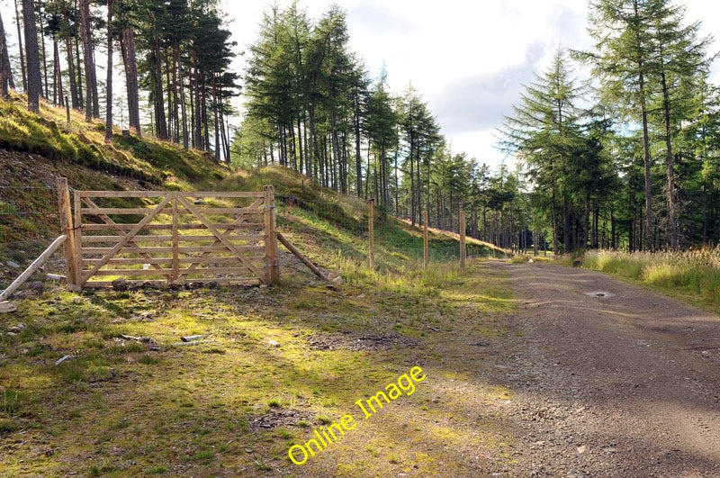 Photo 6x4 Forest road and track near Lonach Roughpark  c2010