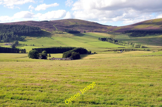 Photo 6x4 Fields at Belniden  c2010