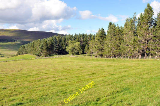 Photo 6x4 Farmland and the forest edge at Belniden  c2010