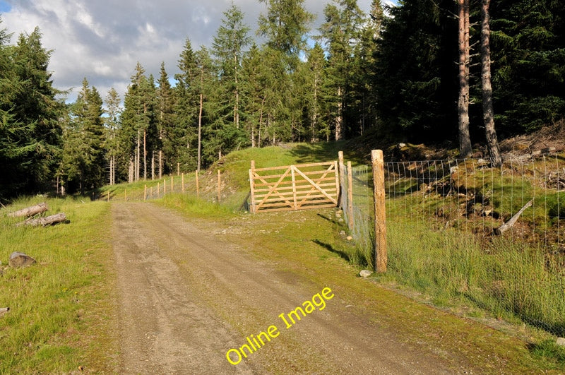 Photo 6x4 Forest road near Culfork Roughpark  c2010