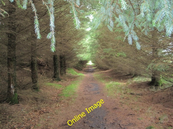 Photo 6x4 Disused Railway Line near Bluegate Cottage Tindale  c2010