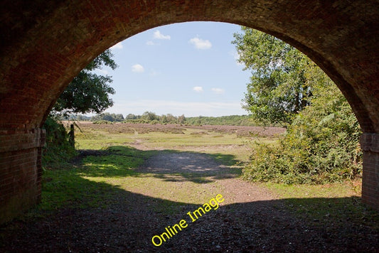 Photo 6x4 View west under the railway arch near Fulliford Passage Ashurst c2010