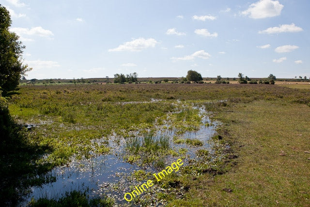 Photo 6x4 Boggy land west of railway line near Fulliford Passage Ashurst\ c2010