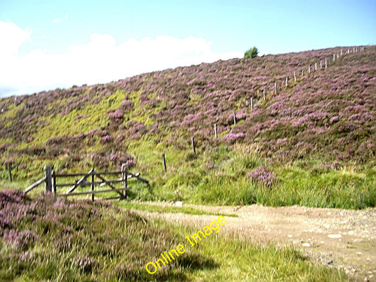 Photo 6x4 Moor edge fence Migvie By Lazy Well. c2010