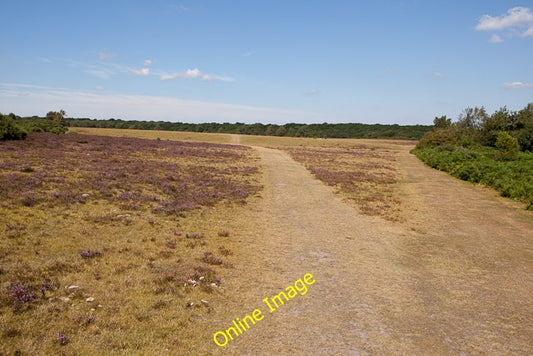 Photo 6x4 Path junction west of railway line near Fulliford Passage Ashur c2010