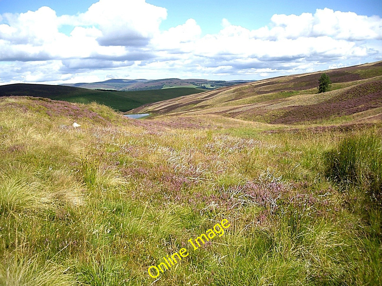 Photo 6x4 View down to Lazy Well lochans Migvie  c2010