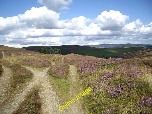 Photo 6x4 Track junction near Lazy Well Migvie Left for Gallows Hill; rig c2010