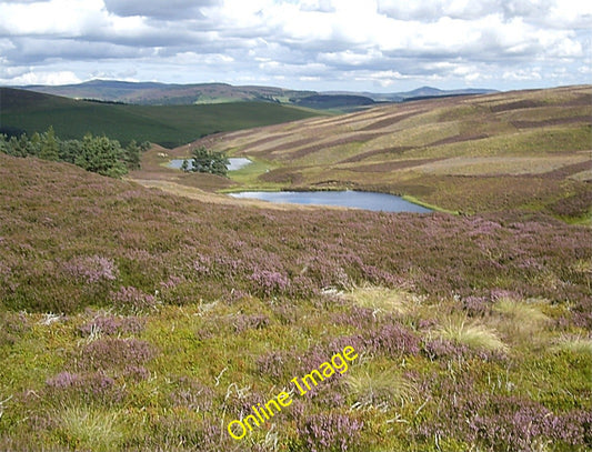 Photo 6x4 View north to Lazy Well lochans Migvie  c2010