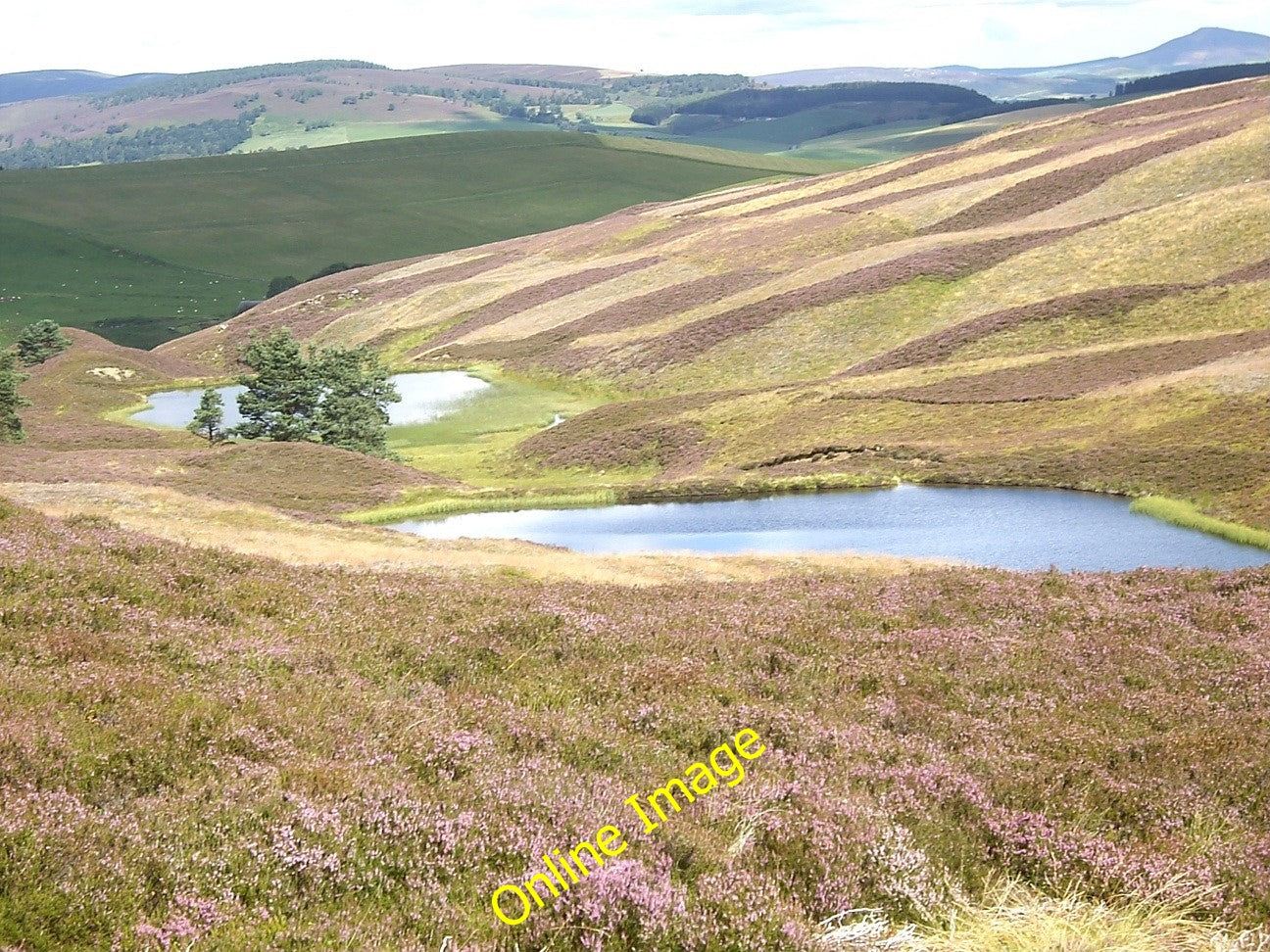 Photo 6x4 Lazy Well lochans Migvie  c2010