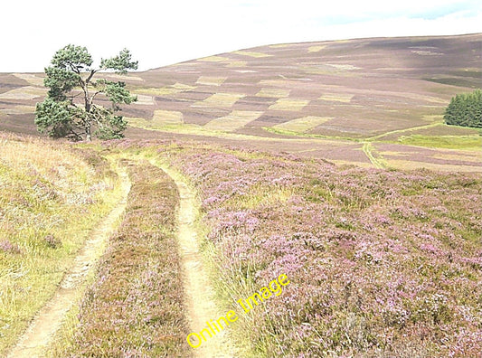 Photo 6x4 Approach to the lone pine Migvie From Lazy Well. c2010