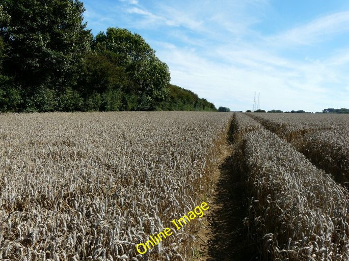 Photo 6x4 Route of dismantled railway Guston The line of trees on the lef c2010