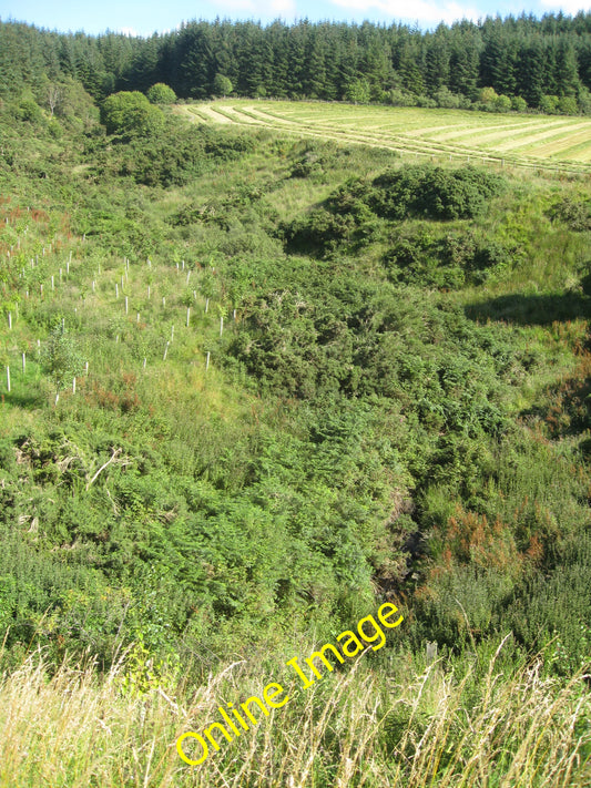 Photo 12x8 Ardmachie burn gully to east of old Railway line, fenced off as c2010