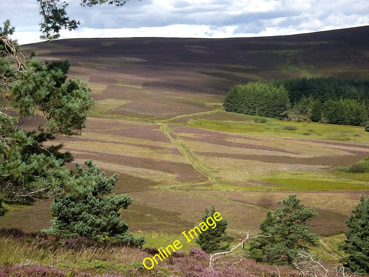 Photo 6x4 An area of 'hut circles' near Auldtown Migvie Viewed from the m c2010