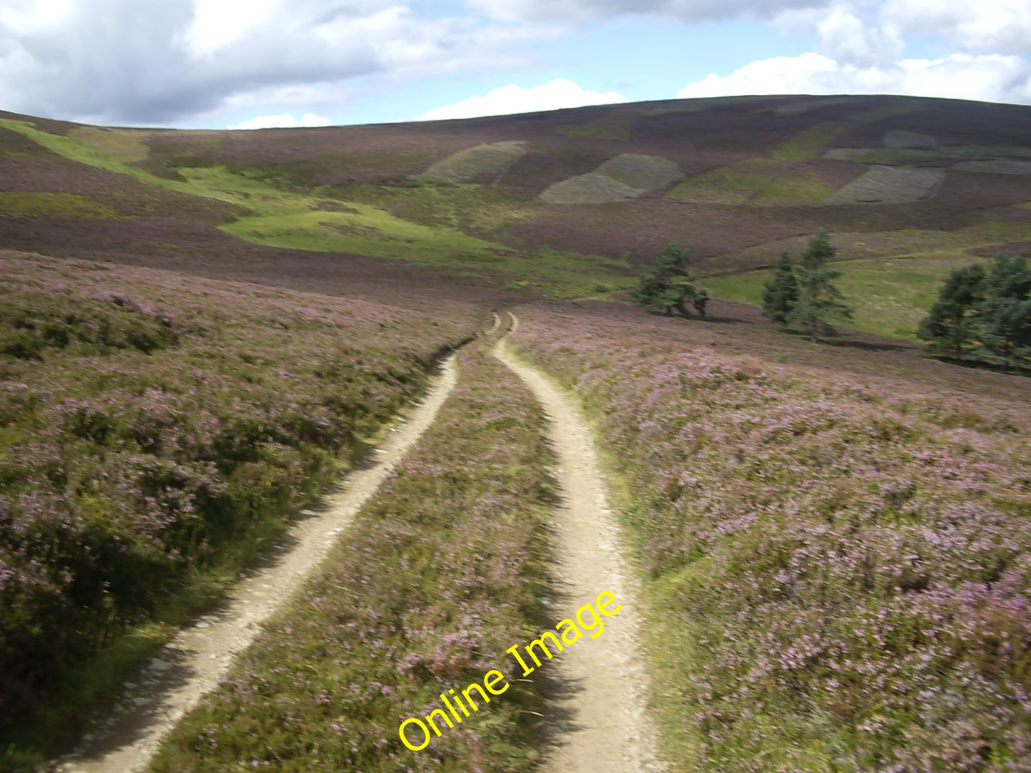 Photo 6x4 Descent to the ford Migvie On the track from Lazy Well to Gallo c2010