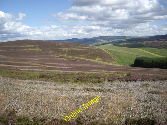 Photo 6x4 View past Auldtown plantation Migvie  c2010