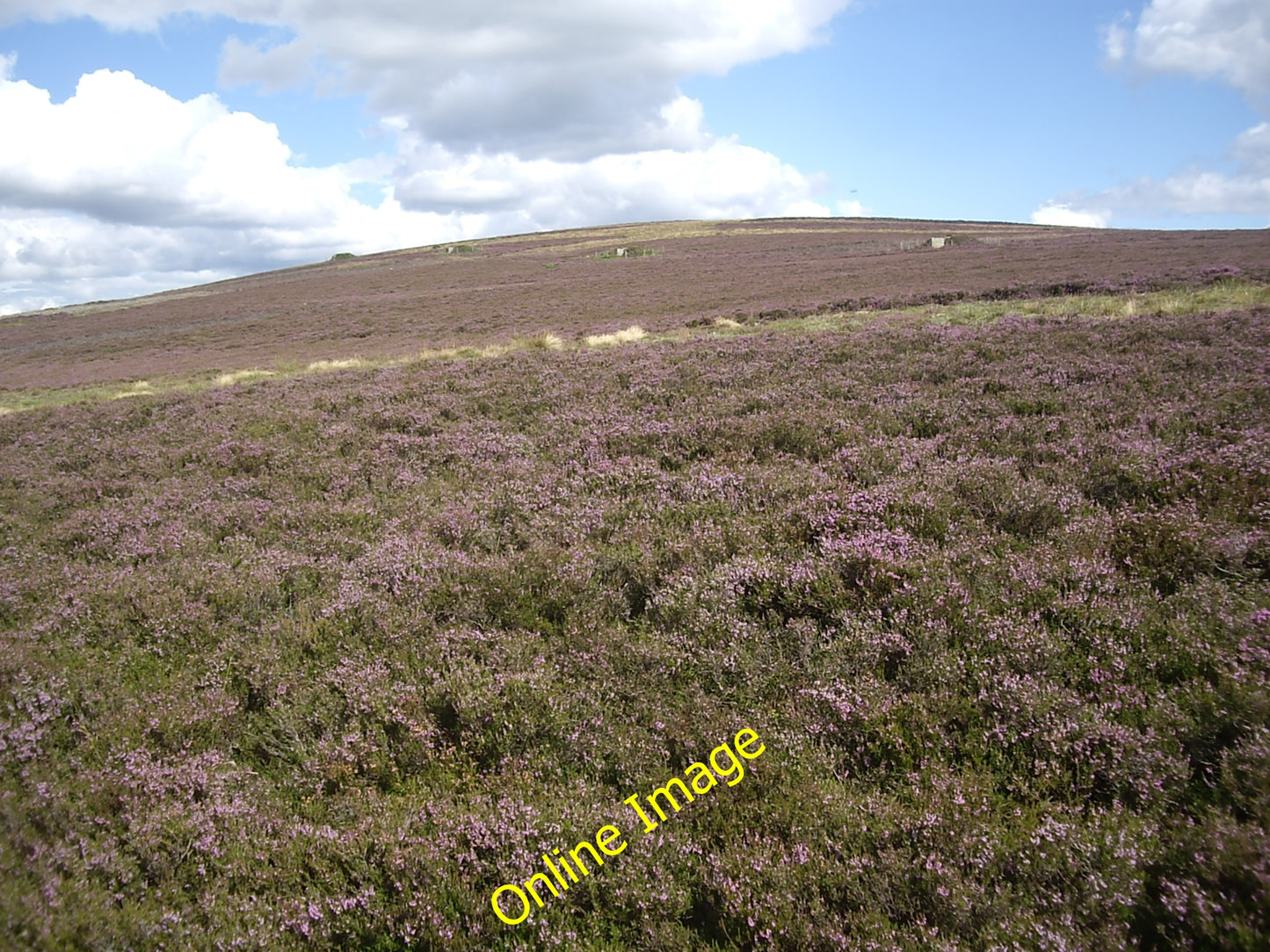 Photo 6x4 A distant line of grouse butts on Gallows Hill Towie\/NJ4312  c2010