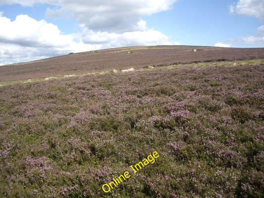 Photo 6x4 A distant line of grouse butts on Gallows Hill Towie\/NJ4312  c2010