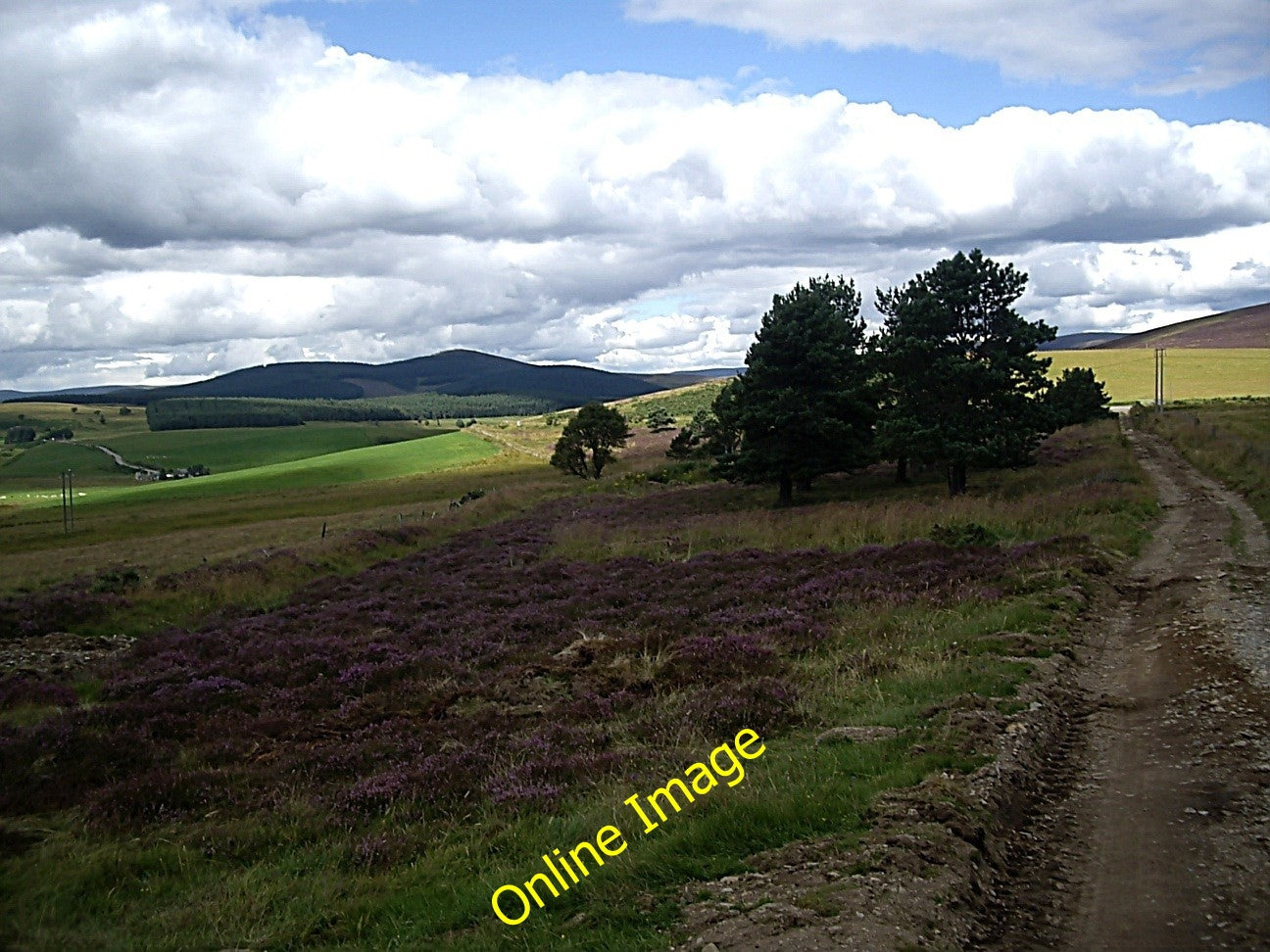 Photo 6x4 Off the moor Towie\/NJ4312 Rippachie in view. c2010