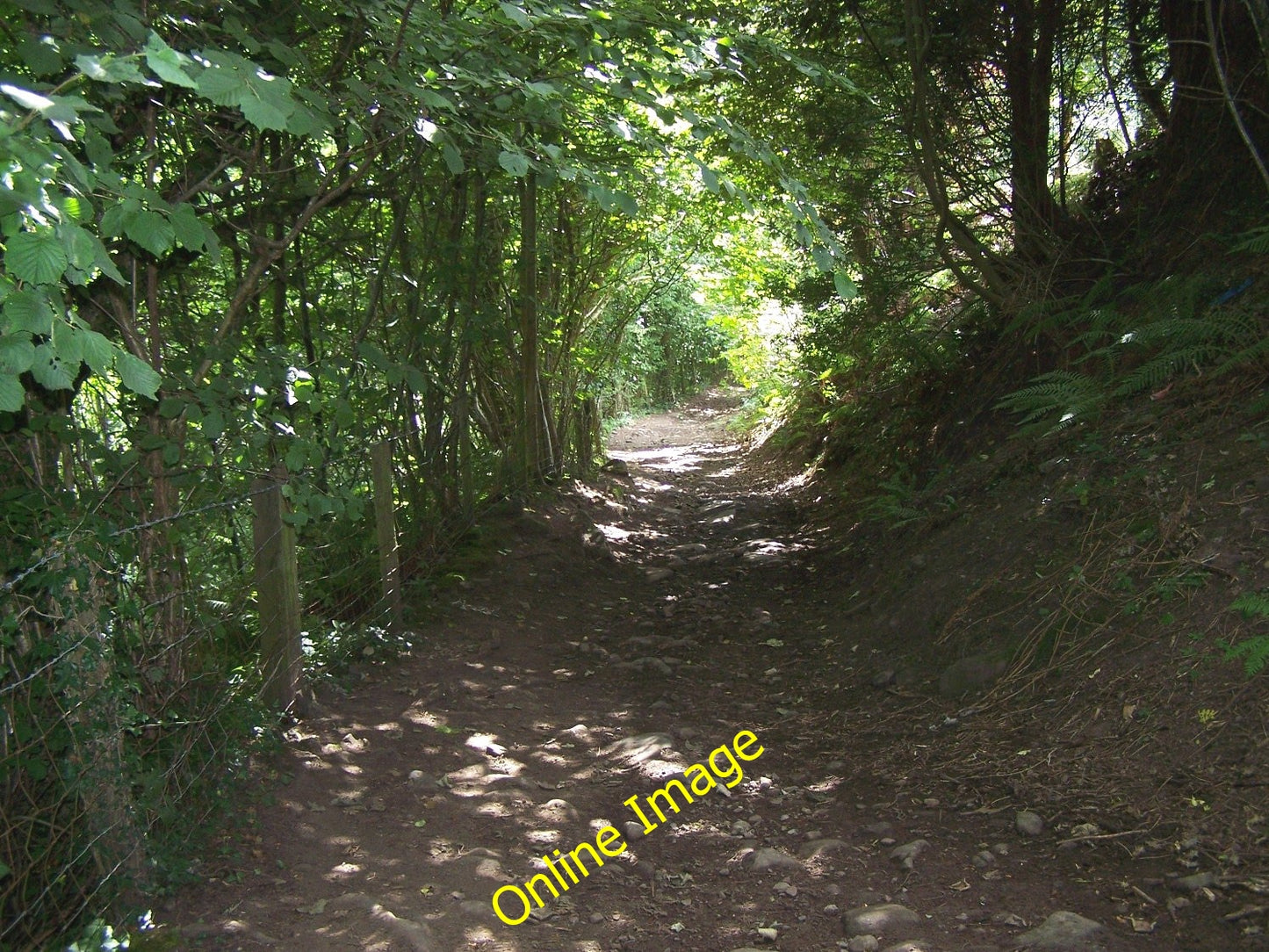Photo 6x4 Steep Footpath Down To The River Llanbedr\/SO2320  c2010