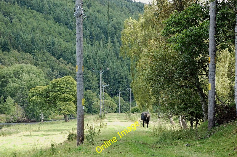 Photo 6x4 Route of the Galashiels - Peebles railway line Holylee The line c2010