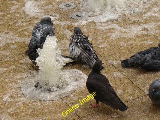 Photo 6x4 Bird Bath London Pigeons enjoying a paddle and a shower in the  c2010