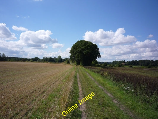 Photo 6x4 Old railway bridge Deighton\/SE6244 Just behind the trees is a  c2010