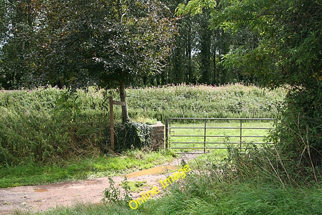 Photo 6x4 Sampford Arundel: by the railway Beam Bridge A public footpath  c2010