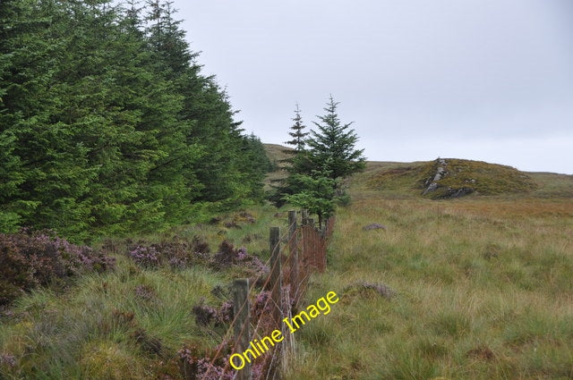 Photo 6x4 Forest-Moorland boundary, Kintyre Killean\/NR6944 Very wet bogg c2010