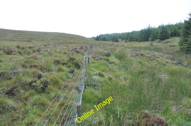 Photo 6x4 Forest-Moorland boundary, Kintyre Killean\/NR6944 Seriously wet c2010