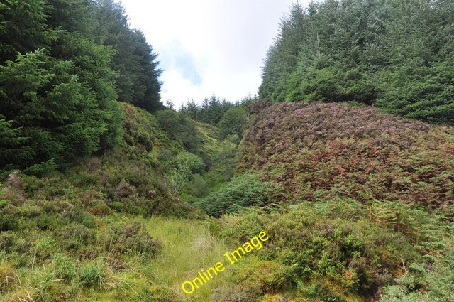 Photo 6x4 Small valley in Forest, Kintyre Barr Water\/NR7441 Gap in fores c2010