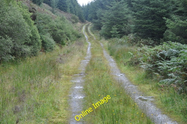 Photo 6x4 Forest track, Kintyre Teanchoisin Glen Just used often enough t c2010