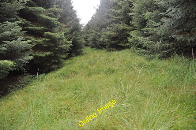 Photo 6x4 Gap in the Forest, Kintyre Loch Beag\/NR7340 An excessively wet c2010