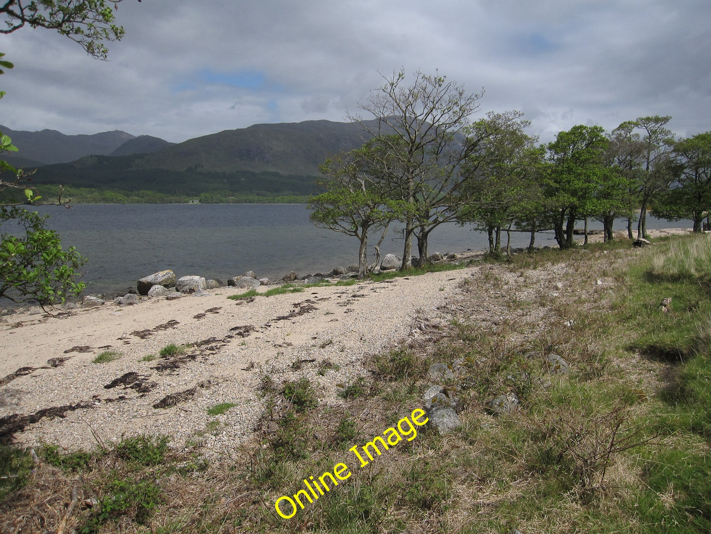 Photo 6x4 Beach at Armaddy Bay Wonderfully peaceful spot by Loch Etive. M c2010