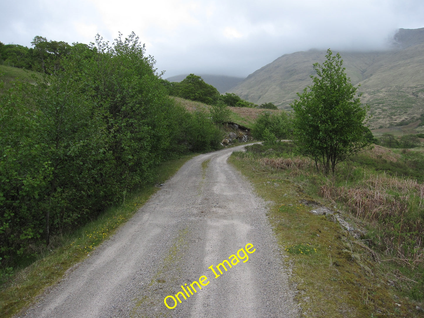 Photo 6x4 New estate track Acharn\/NN1235 Leading the Glenkinglass Lodge. c2010