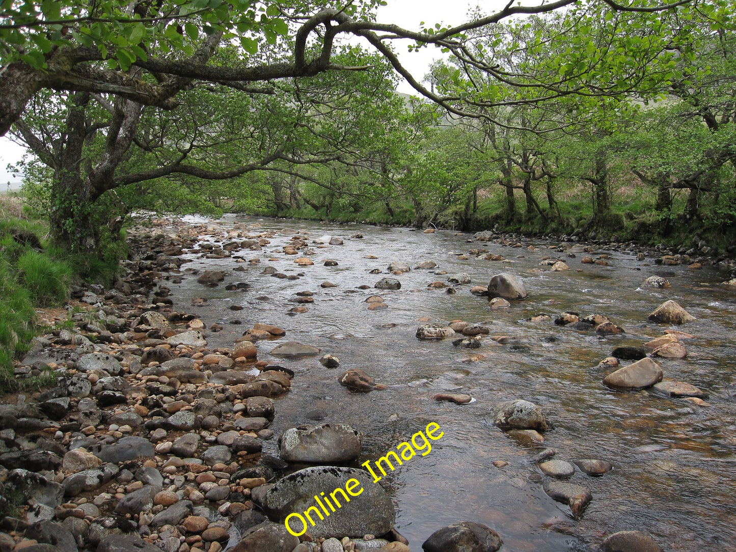 Photo 6x4 River Kinglass Allt Dhoir\u00e8ann Looking upstream along a tre c2010